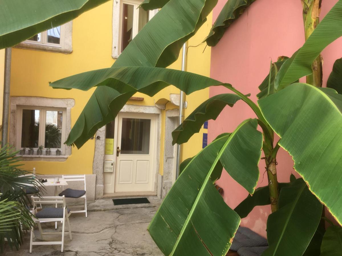Casa Colloredo Free Parking Rovinj Ngoại thất bức ảnh